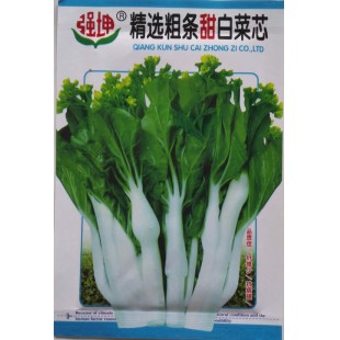 广西强坤种业 精选粗条甜白菜芯种子 早中熟 全年可种 生长快速 白菜芯种子10克装