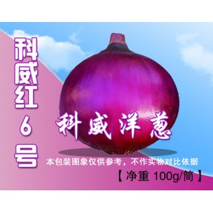 四川科威 红6号洋葱种子 早熟 红皮 耐寒耐热 产量高 洋葱种子 100克装