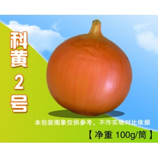 四川科威 黄二号洋葱种子 早熟 产量高 外皮金黄色 洋葱种子 100克装