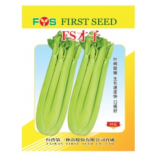 台湾第一种苗 FS才子西芹种子 抗病性强 产量高 单棵可达3 公斤 西芹种子 80克装