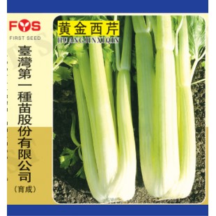 台湾第一种苗 黄金西芹种子 大棵型西芹 生长快速 高产1.5万公斤 西芹种子 80克装