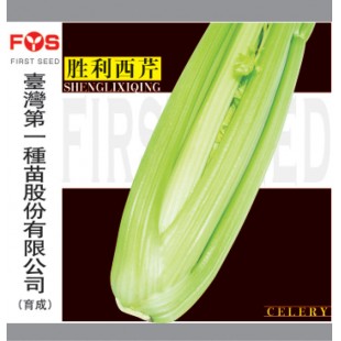 台湾第一种苗 胜利西芹种子 台湾引进 抗病耐热性好 品质脆嫩 西芹种子 80克装