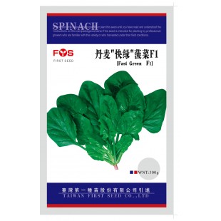 台湾第一种苗 丹麦快绿菠菜种子 丹麦引进 速生高档品种 叶色深绿 光泽度极好 菠菜种子 300克装