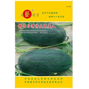 河南豫艺 台湾特大黑美人种子 早熟 肉色鲜红 比黑美人产量高30% 西瓜种子 100粒装