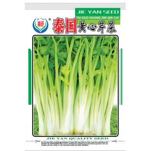 揭阳农友 揭研泰国黄心芹菜种子 黄绿色 株高30公分左右 产量高  芹菜种子 10克装