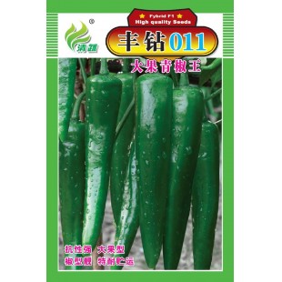 清远清蔬 丰钻011大果青椒王种子 早熟 果实青绿色 高产可达7000公斤 青椒种子 5克装