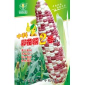 中国农科院 中科彩花糯种子 玉米紫白相间 甜糯可口 适应性广 商品性好 玉米种子200克装