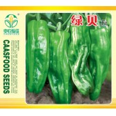 中国农科院 绿贝泡椒种子 极早熟 薄皮 果长灯笼形 商品性好 泡椒种子 1000粒装