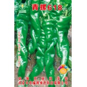 中国农科院 青螺618青皮椒种子 极早熟 抗病性强 耐热耐寒 易坐果 青皮椒种子 1000粒装