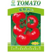 中国农科院 威斯利F1番茄种子 特早熟 生长旺盛 座果率高 丰产性好 番茄种子 1000粒包