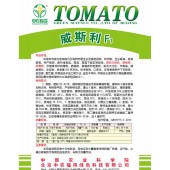 中国农科院 威斯利F1番茄种子 特早熟 生长旺盛 座果率高 丰产性好 番茄种子 1000粒包