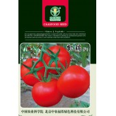 中国农科院 凯瑞番茄种子 特早熟 生长旺盛 座果率高 丰产性好 番茄种子 1000粒装