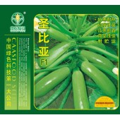 中国农科院 圣比亚西葫芦种子 早熟 耐热抗寒 亩产可达30000斤 西葫芦种子 50克装