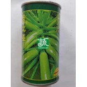 中国农科院 圣比亚西葫芦种子 早熟 耐热抗寒 亩产可达30000斤 西葫芦种子 50克装