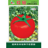 连州丰裕 红钻番茄 以色列原果种子 植株无限生长 生势强 早熟性较好 番茄种子 1克装