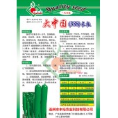 连州丰裕 大中国388长椒种子 特耐热 抗病 丰产性好 一级产品高 辣椒种子 5克装