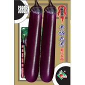 连州丰裕 丰裕9号紫红茄种子 高产 优质 耐老化 耐高温 抗病 后期果不易变短 茄子种子 5克装