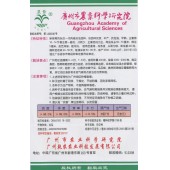 广州乾农 绿胜1号丝瓜种子 瓜条直 头尾匀称 品种优质 丰产 抗性强 丝瓜种子 25克装