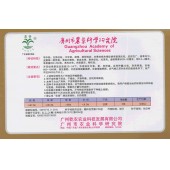 广州乾农 象牙白茄种子  适应性广 亩产5000公斤 单果重200-250克 茄子种子 5克装