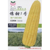 广州乾农 穗甜1号种子 口感好 品质优 皮薄无渣 含糖量高 玉米种子 200克装
