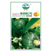 广州阳兴 维纳斯2号南瓜种子 株型独立 少分枝 生长势强 南瓜种子 100粒装