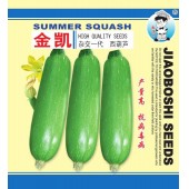广州农源 金凯西葫芦种子 早熟 瓜条顺直匀称 产量特高 葫芦种子 50克装