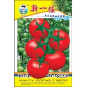 广州农源 新一佳番茄种子 连续座果能力强 长势壮...