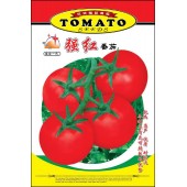 广州农源 强红番茄种子 抗病 高产 优质 耐贮运 果肉厚实 番茄种子 5克装
