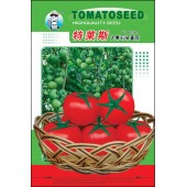 广州农源 特莱斯大果石头番茄种子 结果率强 高产 果实大 肉厚 色泽鲜红亮丽 耐贮运 番茄种子 1克装