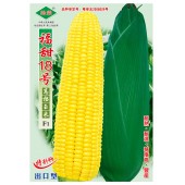广州绿霸 福甜18号玉米种子  生长健壮 耐热 耐湿 糖度高 丰产 耐贮运 产量高 玉米种子 200克装