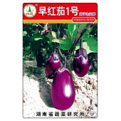 湖南兴蔬 早红茄1号茄子种子 紫红色 光泽好 果实卵圆形 早熟 茄子种子 10克装
