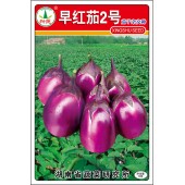 湖南兴蔬 早红茄2号茄子 早熟 抗病 耐贮运 耐寒性强 茄子种子 10克装