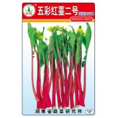 湖南兴蔬 五彩红薹二号菜苔种子 早中熟 丰产 抗逆性强 品质好 菜薹种子 10克装