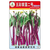 湖南兴蔬 五彩紫薹2号菜苔种子 早熟 优质 丰产 抗病性强 菜薹种子 10克装