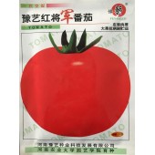 豫艺种业 豫艺红将军番茄种子 中熟 大红果 无限生长型 皮厚肉厚 抗病 耐贮运  番茄种子 10克袋