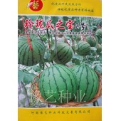 豫艺种业 玲珑瓜之宝2号西瓜种子 肥供应要均匀 该品种是高档西瓜 西瓜种子 100粒装
