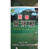 广州卓艺种业 美国进口脱壳狗牙根种子 护披 草坪种子 500克装