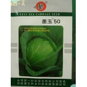 台湾第一种苗 墨玉50甘蓝种子 耐热性好 抗特别耐热抗病的早熟甘蓝品种 甘蓝种子 10克装