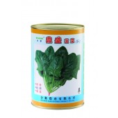 广州丰顺 鼎盛菠菜种子 型美观 产量高 品质佳 耐寒性较强 生长快速 菠菜种子 300克装