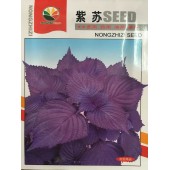 株洲农之子 紫苏种子 嫩叶可生食 叶片为紫色 有特异芳香 味浓 紫苏种子 1克装
