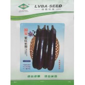广州绿霸 国宝紫红长茄种子 颜色更好 抗性更强 产量更高 茄子种子 1000粒装