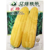 广西亿绿贸易 正珍甜玉米种子 中期长势强旺 后期...