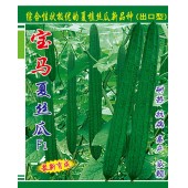 广州阳兴 宝马夏丝瓜种子 耐热 抗病 瓜靓 亩产达5000公斤 丝瓜种子 40克装