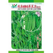 广州阳兴 改良604荷兰豆种子 改良新品种 产量...