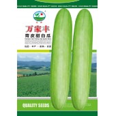 广州阳兴 万家丰青皮甜白瓜种子 青绿色 耐热 耐雨水 白瓜种子 15克装