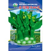 广州阳兴 东莞坡头80天油青甜菜心种子 耐抽苔 耐寒耐湿 可信赖品种 菜心种子 30克装