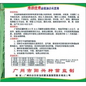 广州阳兴 秀田优秀豆荚种子 油白色有光泽 丰产 耐热 豆角种子 200克装
