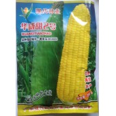 广东现代 耕耘华威甜二号甜玉米 最新审定甜玉米 亩产鲜苞达1100公斤 玉米种子 200克装