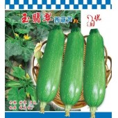 广州阳兴 玉翡翠西葫芦 抢早上市品种 耐寒 抗病 西葫芦种子 50克装