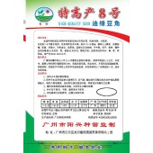广州阳兴 特高产8号油青豆角种子 特高产 连续采收时间长 豆角种子 30克装
